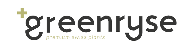Premium swiss plants